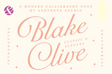Blake Clive - Modern Script Font
