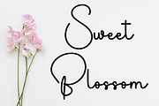 Finger British, a Handwritten Font by FreshTypeINK (Thumbnail 6 of 8)