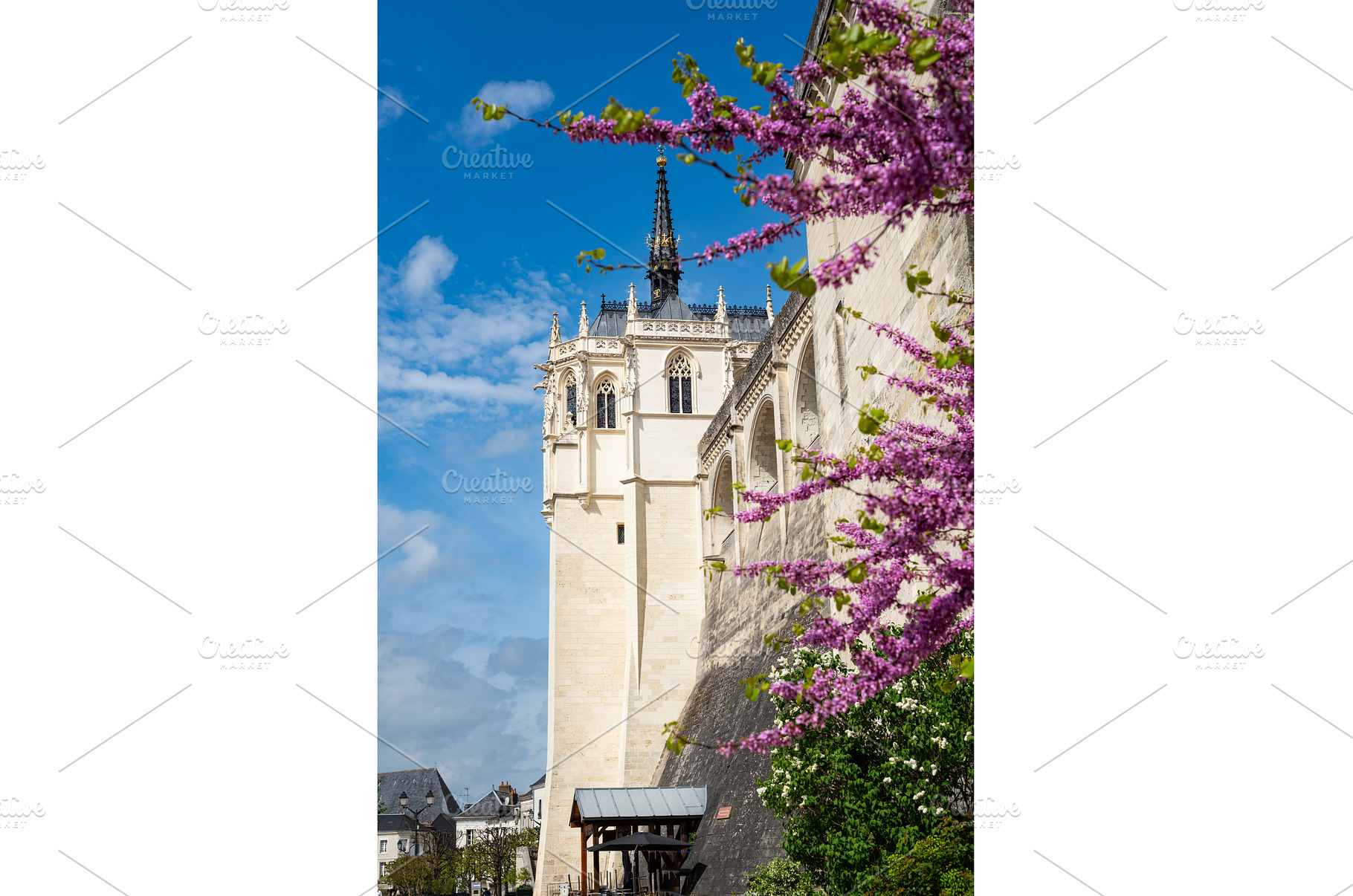 Chateau of Amboise during springtime, an Architecture Photo by MAnuta