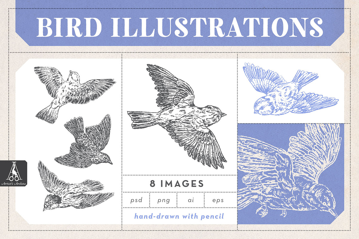 Hand Drawn Bird Illustration Pack, an Illustration by Lizzy Dee Studio
