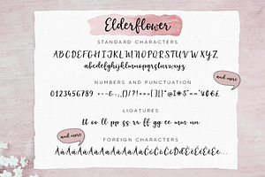 Elderflower Script Font Logos