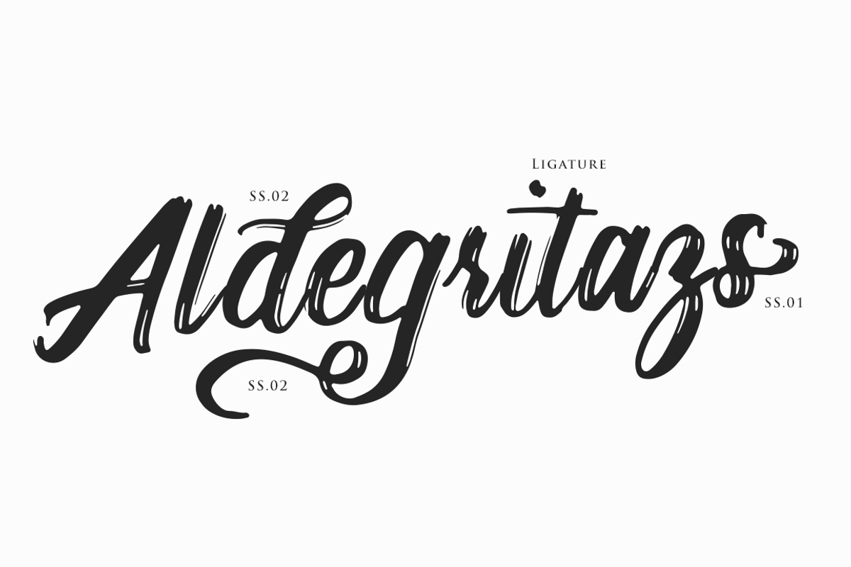 Bogart Script, a Script Font by Hindia Studio (Photo 3 of 6)