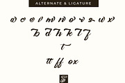 Metanoia - Fancy Font, a Script Font by Typevora Studio (Thumbnail 9 of 11)