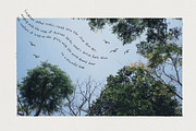Lucky September Handwritten Font, a Handwritten Font by Perplexitics (Thumbnail 4 of 13)