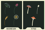 Affinity Flower & Foliage Brushes, a Brush Add-On by The Artifex Forge (Thumbnail 15 of 16)
