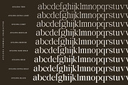Avilona Super Family | 63 Style Font, a Serif Font by IM Studio (Thumbnail 13 of 16)