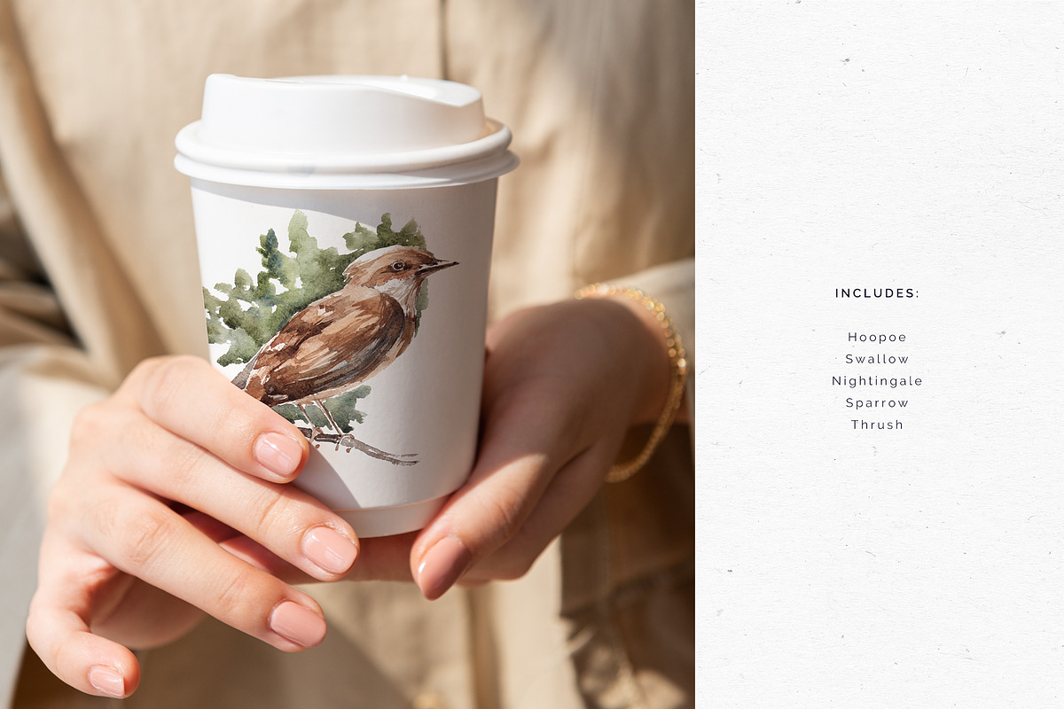 Handdrawn watercolor birds, an Illustration by Tilling (Photo 4 of 5)