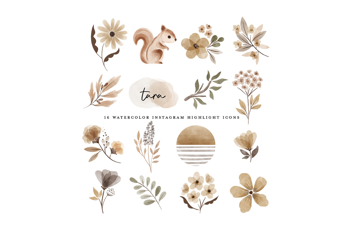 Watercolor woodland animal Clipart, an Animal Illustration by beatriceviyiwi (Photo 5 of 5)