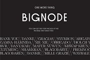RF Ceqabro Serif Display + Extra, a Sans Serif Font by Unfutur Labs (Thumbnail 13 of 13)