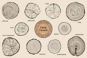 Tree Growth Rings Illustrations