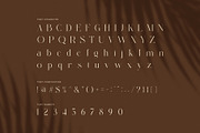 Rinda Luxury Serif Display Font, a Serif Font by Perfectype (Thumbnail 7 of 8)