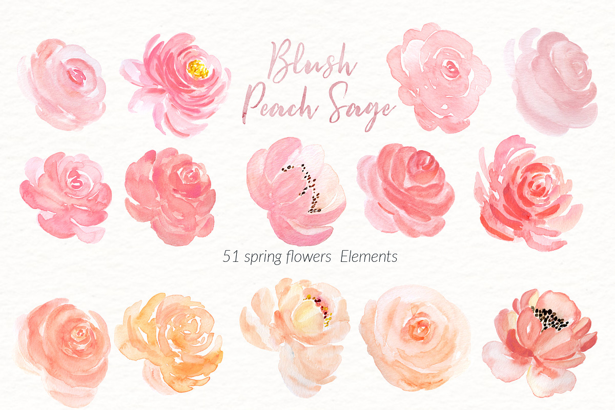 Blush Peach Sage flowers, a Texture Illustration by LABFcreations (Photo 11 of 13)