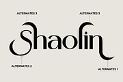 Mahalini - Serif Font, a Serif Font by PutraCetol Studio (Thumbnail 3 of 11)