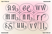 TAN - IMAGINAIRE, a Serif Font by TanType (Thumbnail 9 of 12)