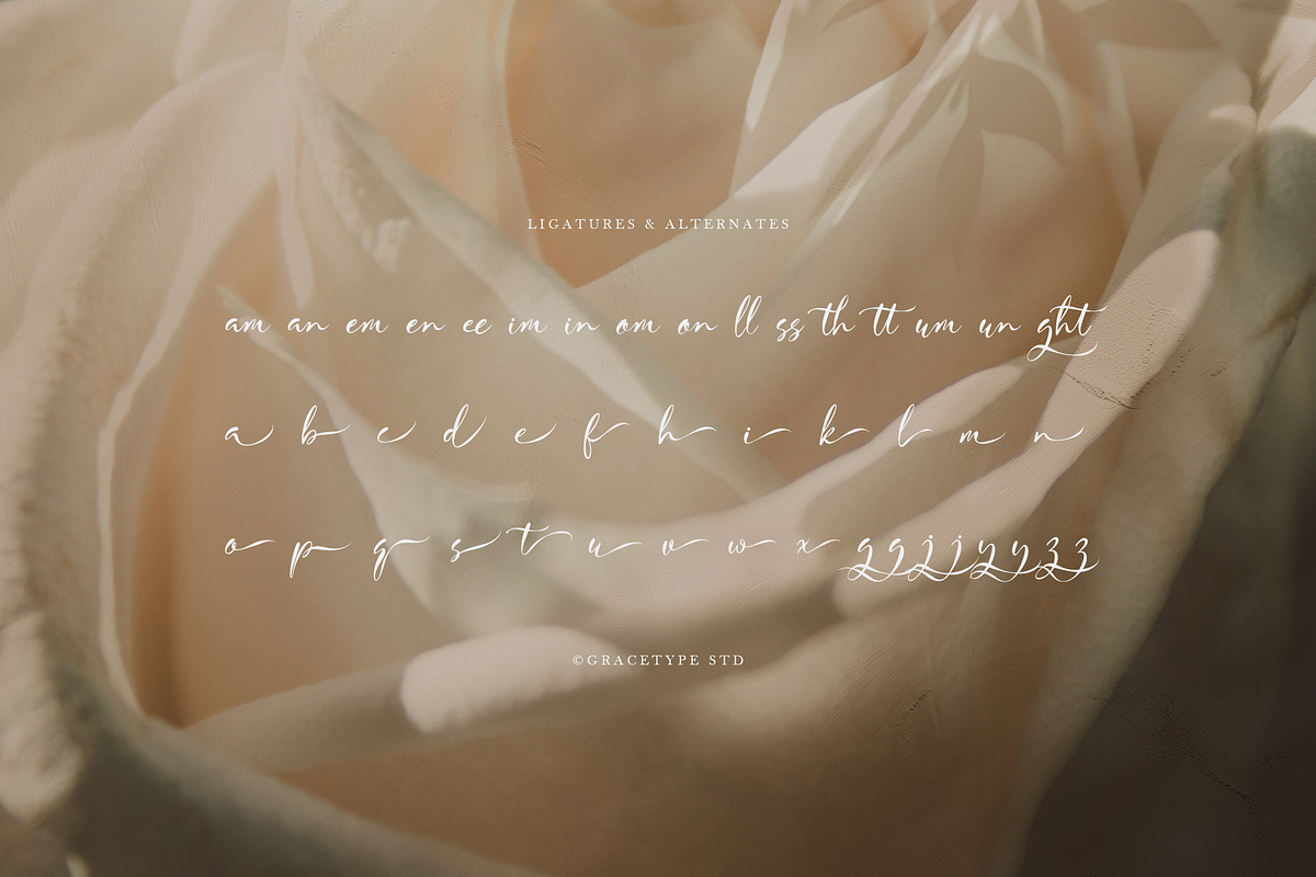 Haniquta | Beauty Calligraphy Script, a Script Font by gracetype_studio (Photo 11 of 12)