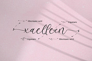 Azelly Vellyne, a Script Font by Integritype Studio (Thumbnail 14 of 15)