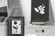 Black Herbs. Vector Set, an Object Graphic by PatrushevaYana (Thumbnail 2 of 6)