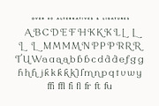 Mirada Serif, a Serif Font by Rachel Kick (Thumbnail 11 of 12)