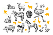 Thanksgiving Graphics Collection, an Object Graphic by ilonitta (Thumbnail 3 of 9)