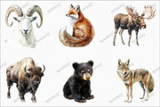 Watercolor Wildlife Nature Animals, an Illustration by designcity5 (Thumbnail 3 of 5)