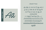 Pillucia | Script Font, a Script Font by Lemonthe (Thumbnail 5 of 8)
