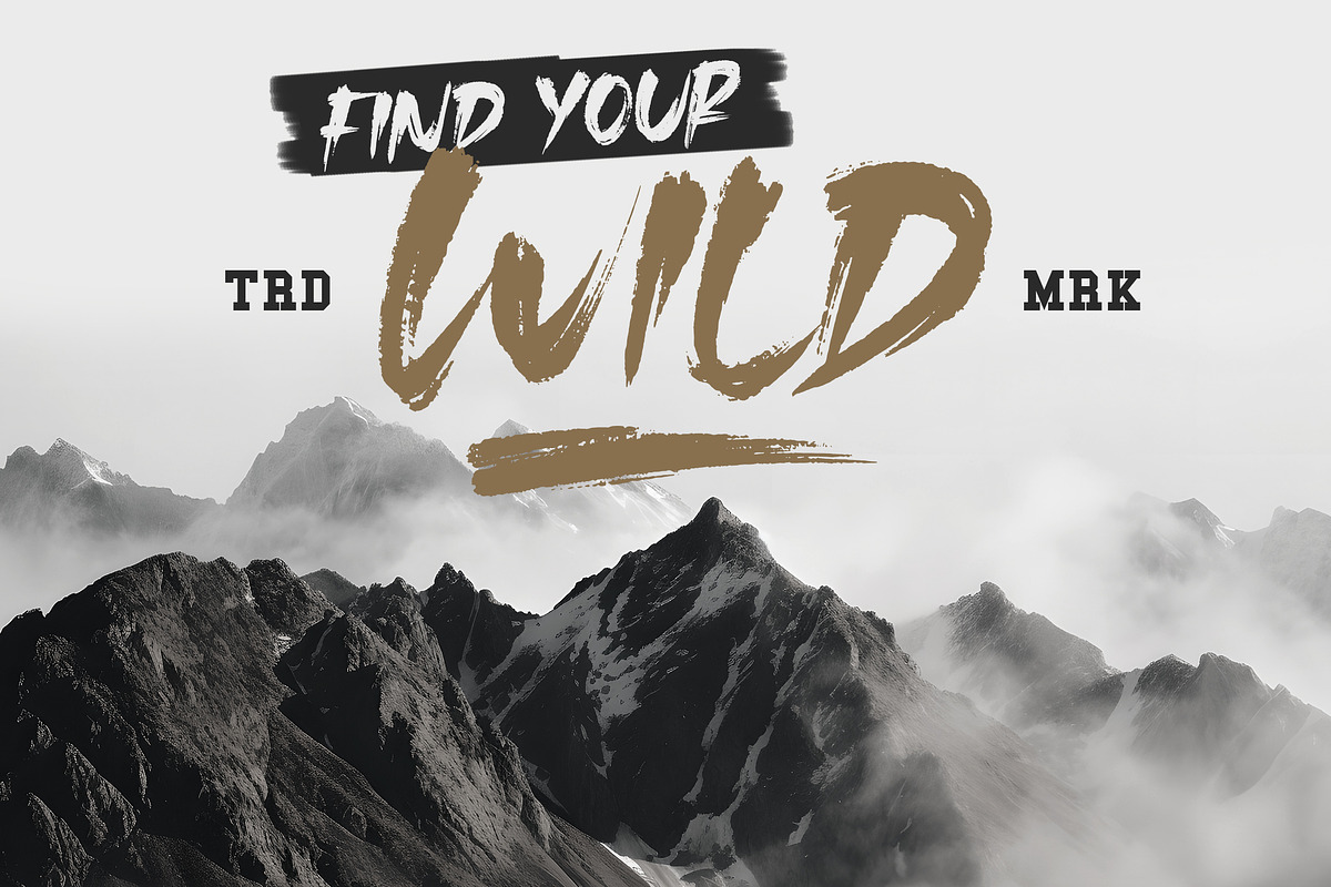 Crowned - Handbrushed Font, a Handwritten Font by Timurtype (Photo 3 of 7)