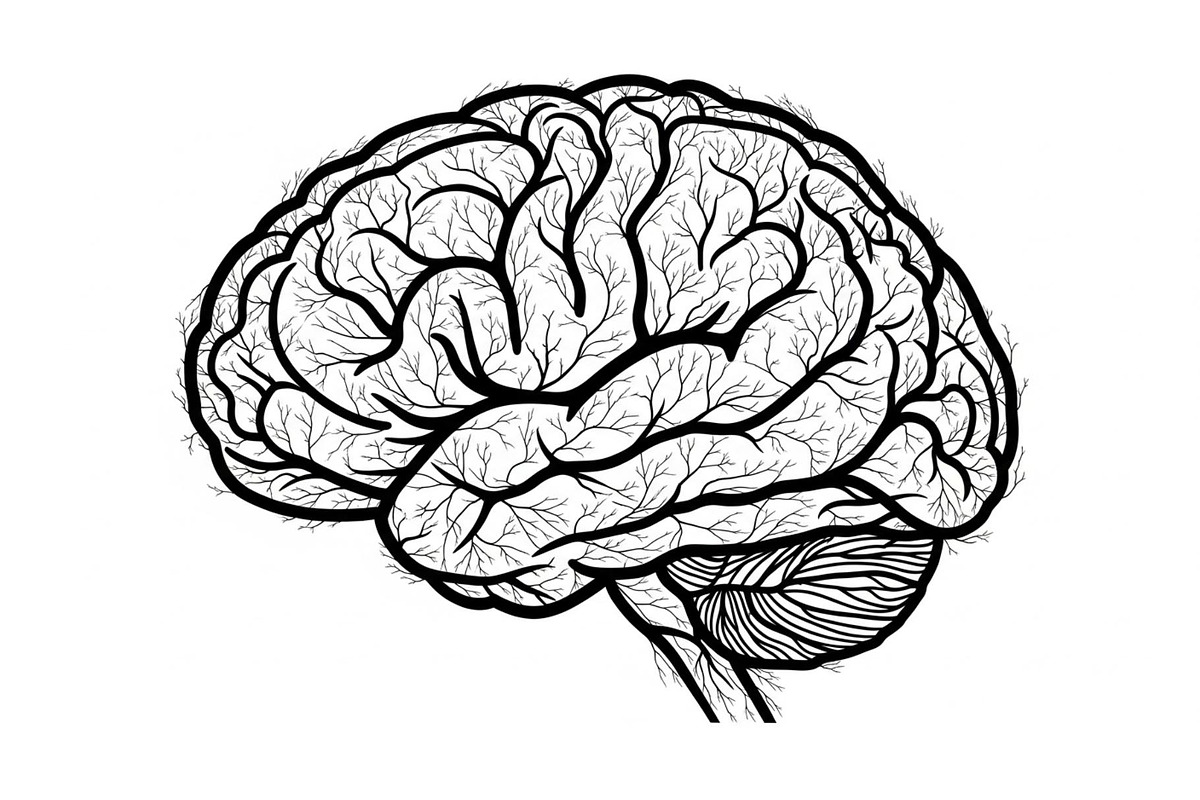 Brain Tree Knowledge Design Bundle, an Illustration by Gaye Art (Photo 12 of 31)