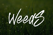 BREAKING RULE - Rough Brush Font, a Script Font by NTC Graphic (Thumbnail 7 of 9)