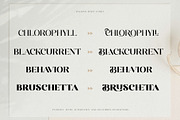Balkind - Modern Beauty Serif Font, a Serif Font by Ekahermawan (Thumbnail 15 of 25)