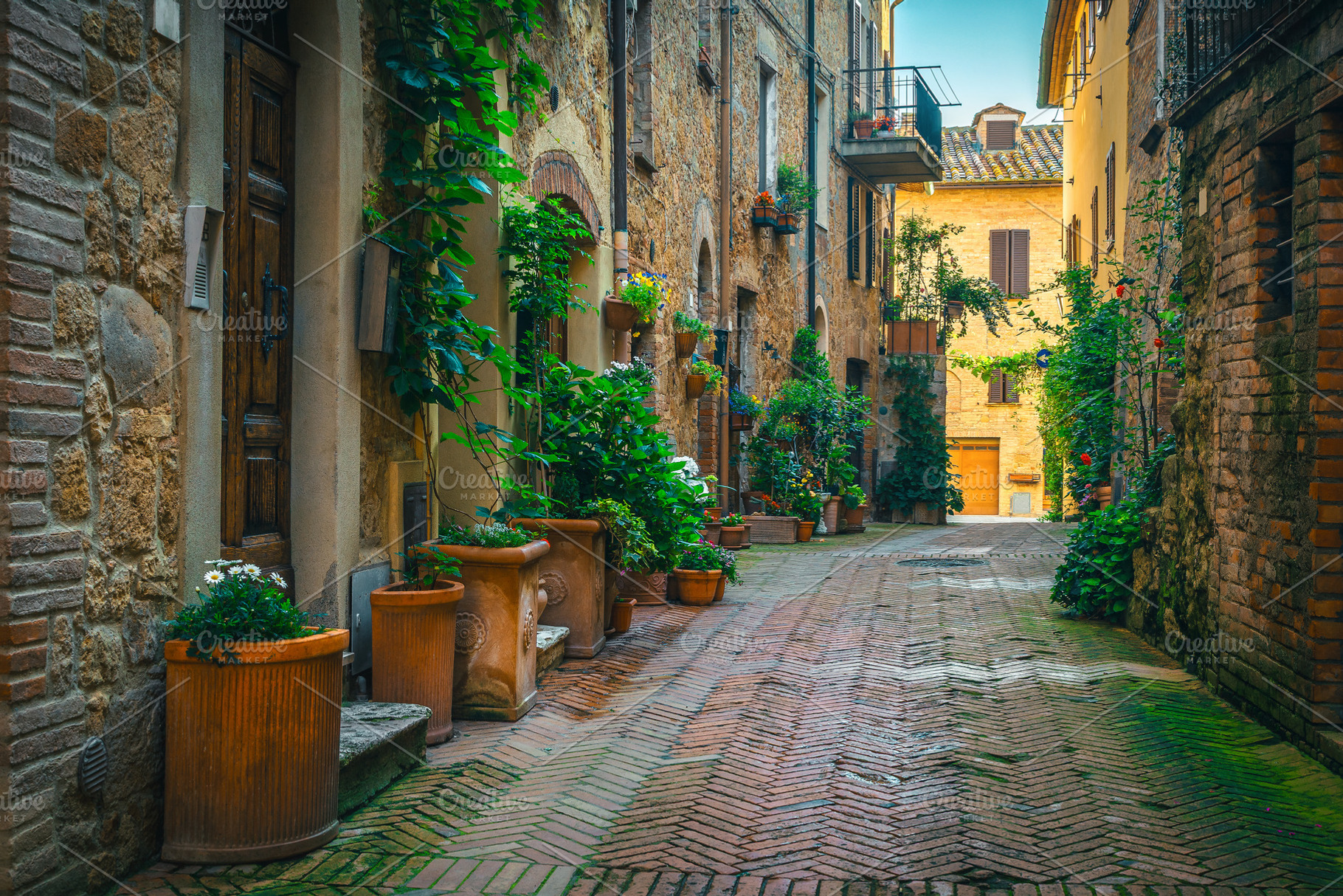 Green plants on the brick walls, an Architecture Photo by Alpine Dreams