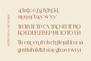 The Qigffam Modern Serif Font