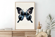 Halloween Butterfly Sublimation PNG, an Illustration by Craft Nest (Thumbnail 6 of 9)