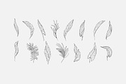Tropical collection, a Decorative Illustration by Merfin (Thumbnail 7 of 10)