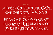 Salamanca TF Roman, a Serif Font by TypeFaith Fonts (Thumbnail 10 of 12)