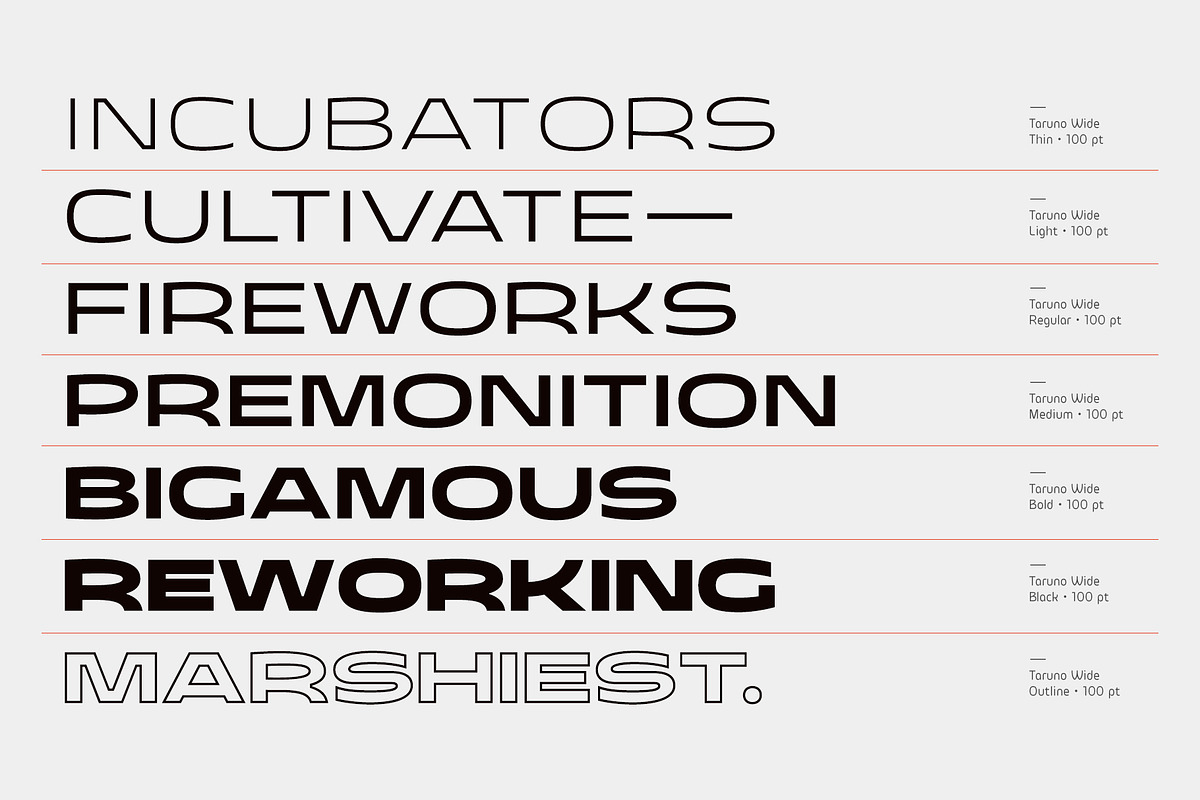 Taruno Wide Font Family, a Sans Serif Font by Locomotype (Photo 9 of 13)