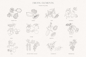 Fruits & Flowers. Nuts & Berries.