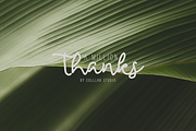Antique Garden | A Unique Font Duo, a Script Font by Colllab Studio (Thumbnail 18 of 18)