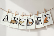 Watercolor Zoo Animal Alphabet PNG, an Animal Illustration by PatternPalette (Thumbnail 3 of 3)