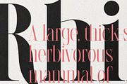 LaRuja - Light & Bold Serif Duo, a Serif Font by SilverStag Type Foundry (Thumbnail 13 of 17)