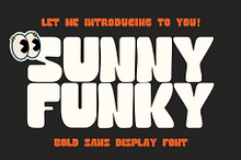 Sunny Funky Bold Display Font