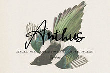 Anthus Signature