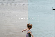 Sage, Moody Lightroom & ACR Presets, an Action Add-On by Darling Josephine (Thumbnail 6 of 27)