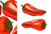 Hand-drawn Watercolor Mini Peppers, a Decorative Illustration by Margo Miller (Thumbnail 12 of 17)