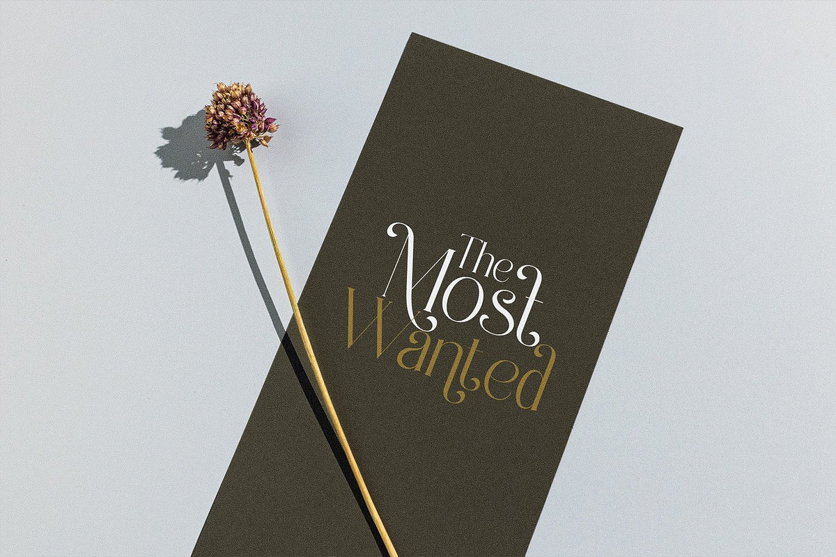 Alveng - Modern Serif, a Serif Font by Luna Shop (Photo 7 of 8)
