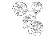 Outlined Flowers, an Object Graphic by VictoriaKStudio (Thumbnail 3 of 4)