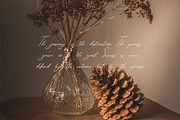 Catamount Signature Font, a Handwritten Font by UICreative (Thumbnail 6 of 13)