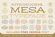 Mesa Font Duo, a Serif Font by NienowBrand (Thumbnail 1 of 9)