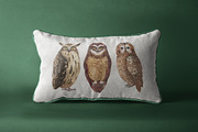 OWLS-watercolor illustrations, an Animal Illustration by KatBranchArt (Thumbnail 5 of 5)