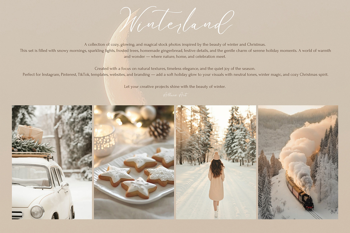 460 Christmas Stock Photos Bundle, a Holiday Photo by Allure Art (Photo 4 of 8)