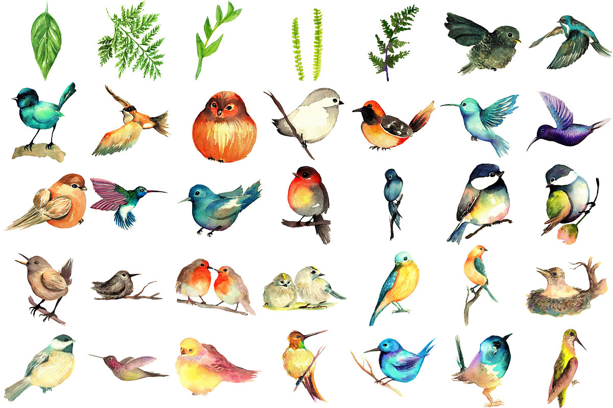 95 Bird Watercolor Clipart Graphics, an Animal Illustration by LilyBoo Clipart (Photo 2 of 4)